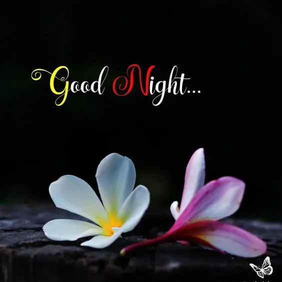 special good night images hd