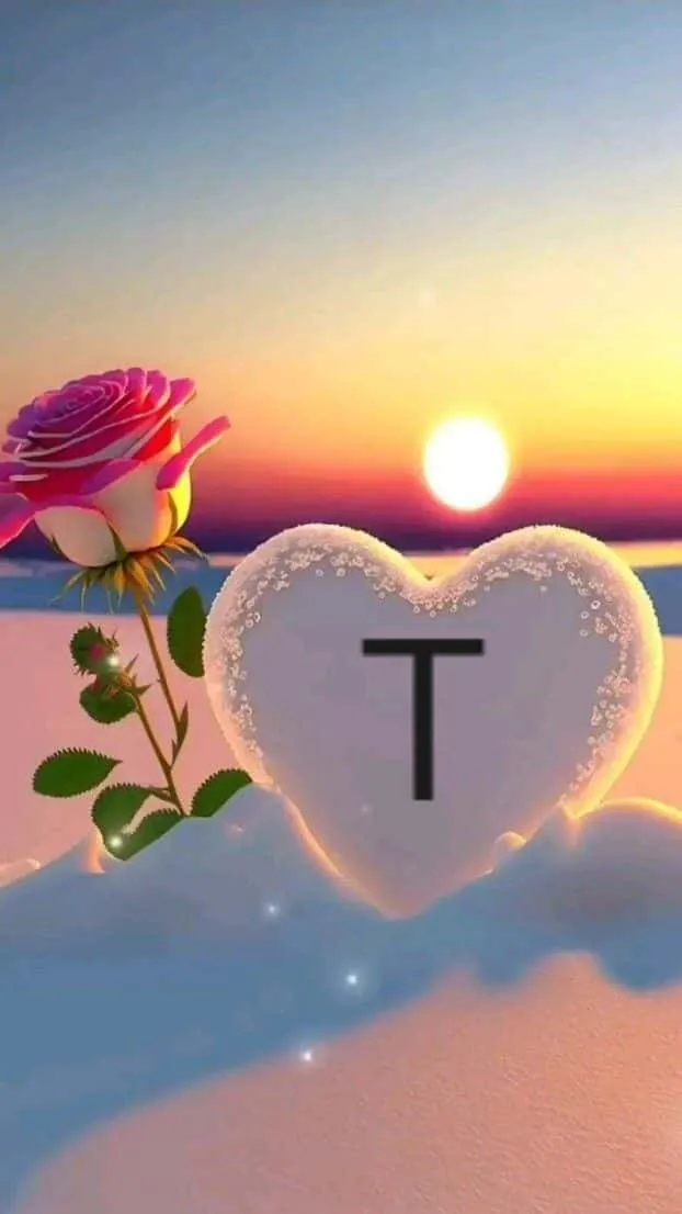 t letter images in heart