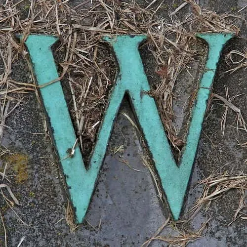 w letter images