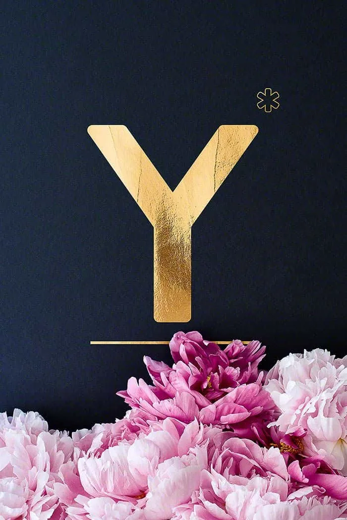 stylish images of letter y